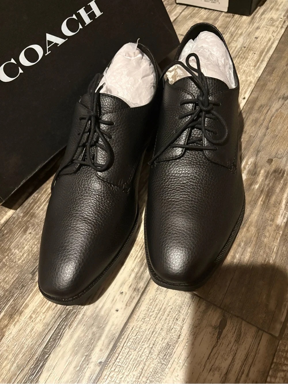 Coach classic lace